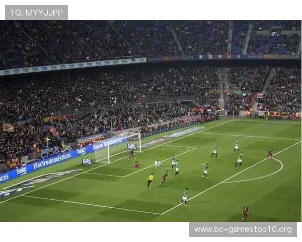 OB体育全面分析：发展趋势、创新战略与全球市场布局