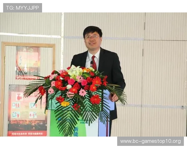 太阳城公司创新驱动下的可持续发展战略与未来市场布局分析